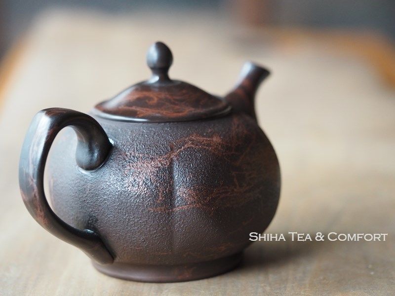 Japanese Teapot in United States (Koshin)