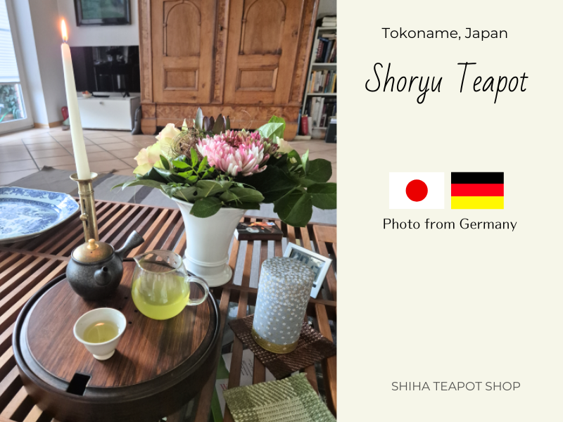 Wonderful Kyusu - Shoryu Oil Drop Teapot (From Germany)