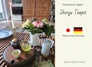 Wonderful Kyusu - Shoryu Oil Drop Teapot (From Germany)