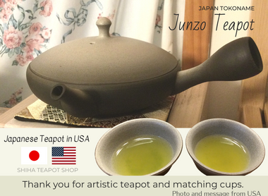 Japanese Teapot in United States (Junzo)