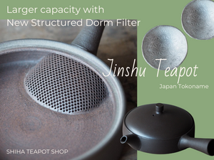 Jinshu Flat Teapot with Filter of New Structure (Japan Tokoname Teapot)