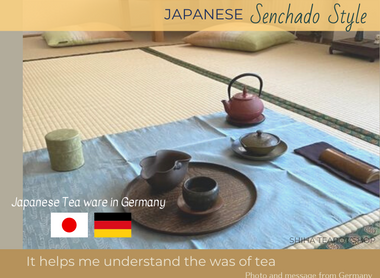 Helps Me Understand the Way of Tea - Senchado Style (From Germany)