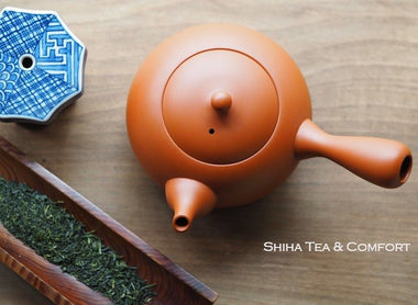 Japanese Teapot in Thailand (Reiko)