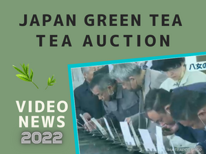2022 Japanese Green Tea Auction (Video News)