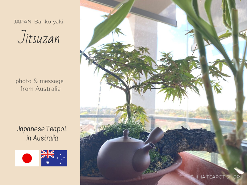 Japanese Teapot in Australia