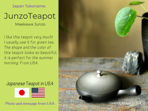 Japanese Teapot in United States (Junzo)
