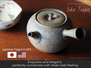 Japanese Teapot in United States (Yokei)