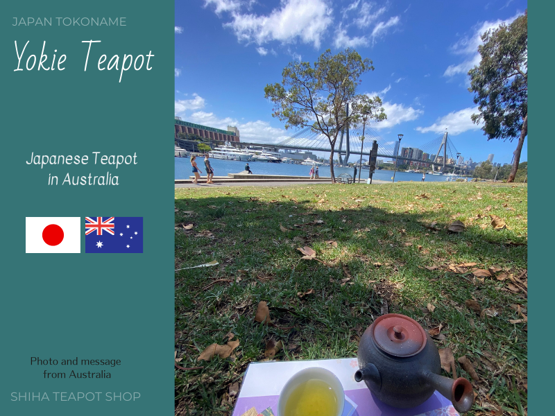 Japanese Teapot in Australia (Yokei)