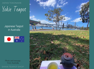 Japanese Teapot in Australia (Yokei)