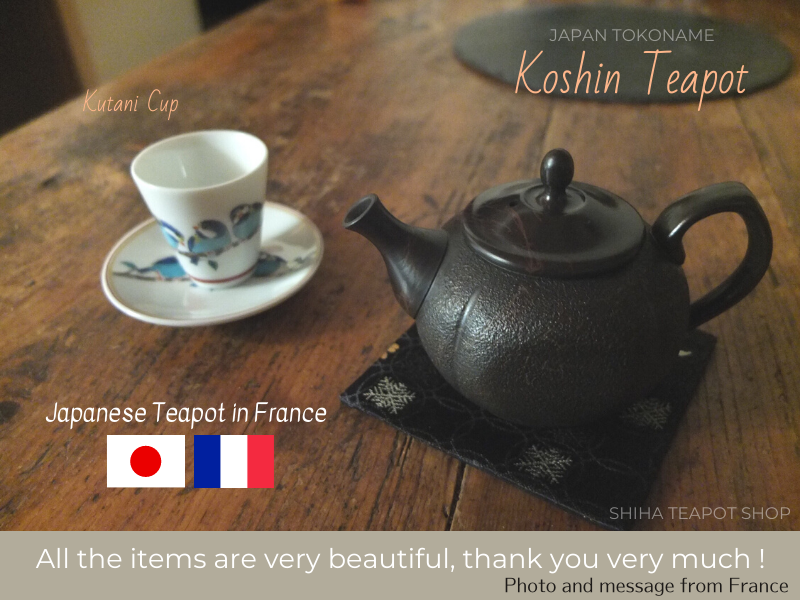 Japanese Teapot in France(Koshin) SHIHA TEAPOT SHOP