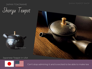 Japanese Teapot in United States  (Shoryu)