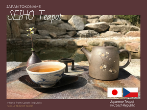Japanese Teapot in Czech Republic (Seiho)