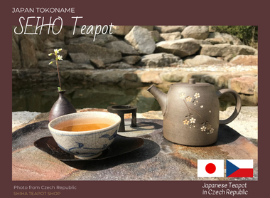 Japanese Teapot in Czech Republic (Seiho)