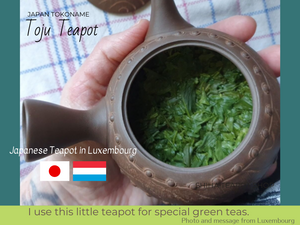 Japanese Teapot in Luxembourg (Toju)