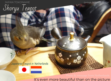 Japanese Teapot in Netherlands (Shoryu)
