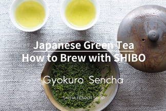 How to Brew Japanese Green Tea with HOUHIN and SHIBORIDASHI (Gyokuro Sencha)