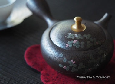 Japanese Teapot in India (Shoryu)