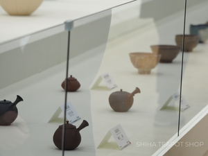 Teapots at Japan Traditional Crafts Exhibition 2021