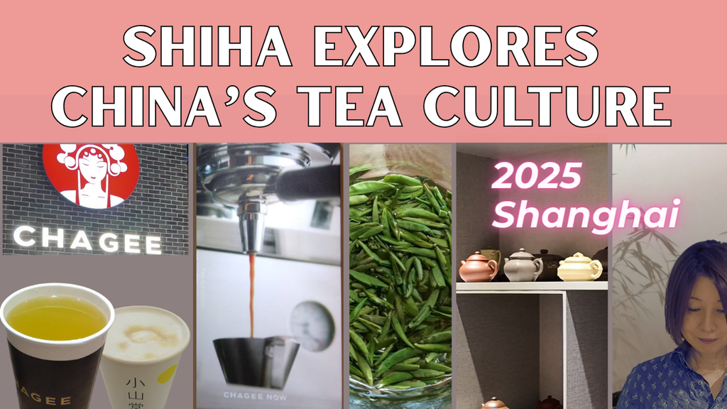 Discovering China’s Tea Culture in 2025 with Shiha: Tradition Meets Innovation