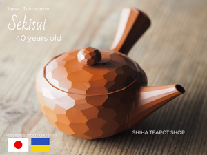 The kyusu is beyond any expectations! - Sekisui Teapot (From Ukraine)