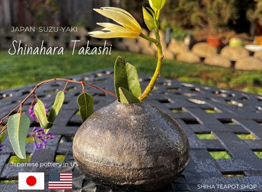 Very Strong Zen Feeling - Shinohara Takashi (From US)
