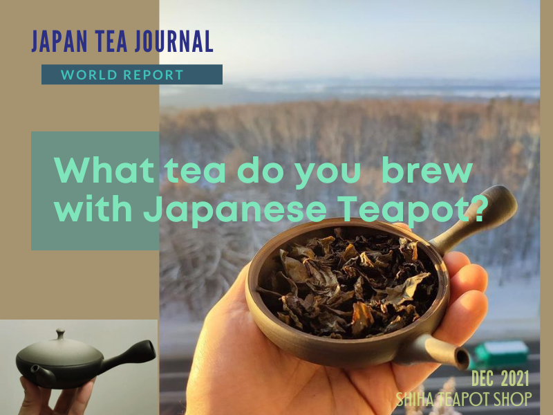 What tea do you brew with Japanese Kyusu Teapot (Video) SHIHA TEAPOT SHOP