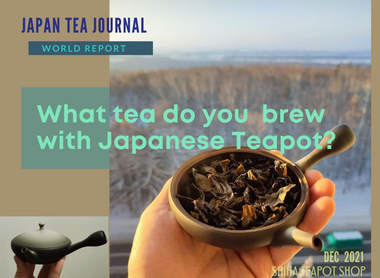 What tea do you brew with Japanese Kyusu Teapot (Video)