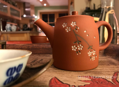 Japanese Teapot in  Czech Republic (Seiho)