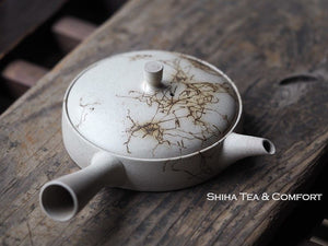 Japanese Teapot in United States (Jinshu)