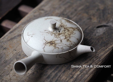 Japanese Teapot in United States (Jinshu)