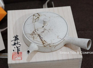 Japanese Teapot in Macao  (Jinshu)
