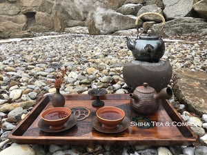 Japanese Teapot in Czech Republic (Motozo)