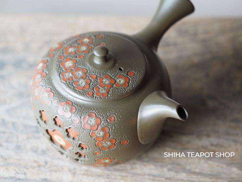 Japanese Teapot in Australia (Shunen)
