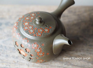 Japanese Teapot in Australia (Shunen)