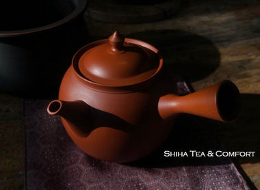Japanese Teapot in China (Reiko)