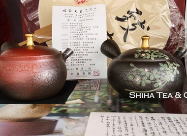 Japanese Teapot in China (Shoryu)