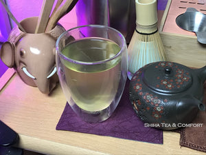 Japanese Teapot in United States (Shunen)