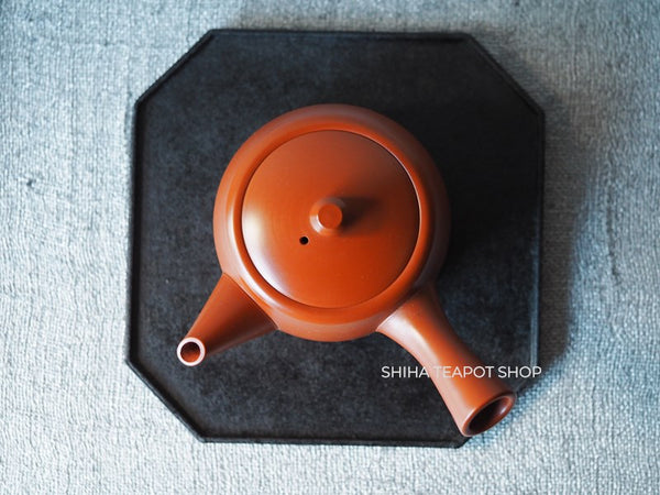 Tokoname Vintage Teapot Shunzan