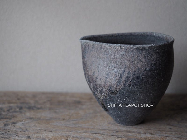 Wood Fired SUZUyaki Pitcher Shinohara Takashi  First Firing 珠洲柴焼 SZ602