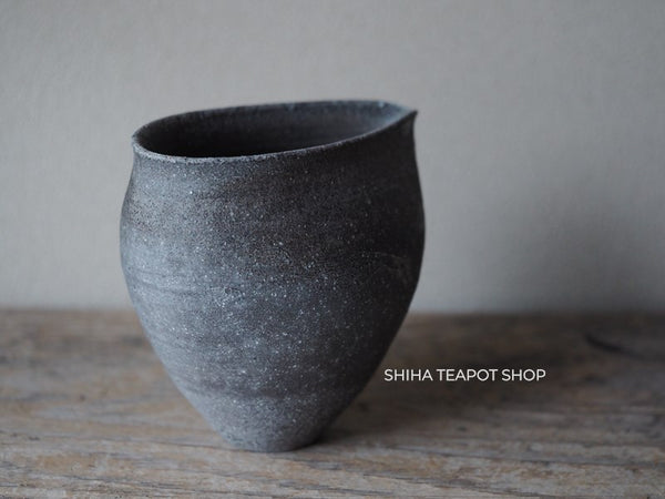 Wood Fired SUZUyaki Pitcher Shinohara Takashi  First Firing 珠洲柴焼 SZ602