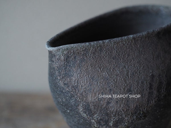 Wood Fired SUZUyaki Pitcher Shinohara Takashi  First Firing 珠洲柴焼 SZ602
