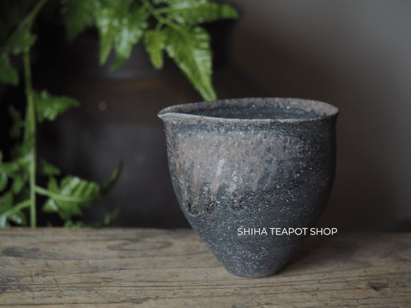 Wood Fired SUZUyaki Pitcher Shinohara Takashi  First Firing 珠洲柴焼 SZ260