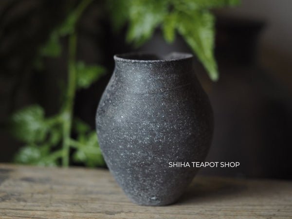 Wood Fired SUZUyaki Pitcher Shinohara Takashi  First Firing 珠洲柴焼 SZ260