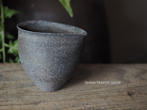 Wood Fired SUZUyaki Pitcher Shinohara Takashi  First Firing 珠洲柴焼 SZ260