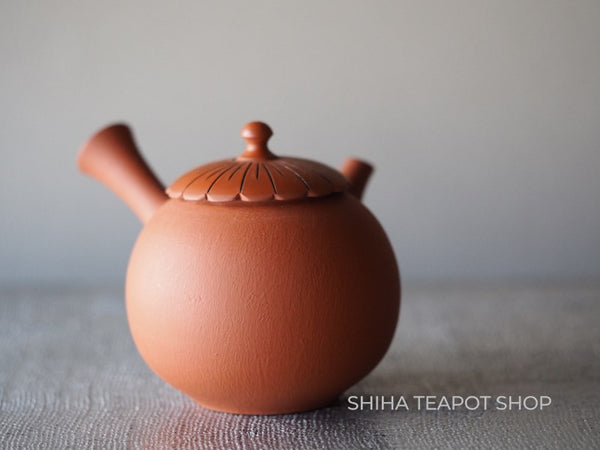 Tsuzuki Seiho Persimmon Lid (SH75)  Small Tokoname Red Clay Kyusu Teapot 青峰柿