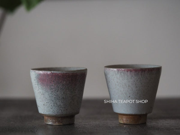 Tokoname Sou Yamada Wood fired White Shell Teapot + 2 cups 山田想 YS11-2