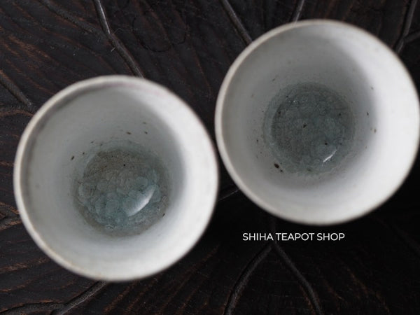 Tokoname Sou Yamada Wood fired White Shell Teapot + 2 cups 山田想 YS11-2