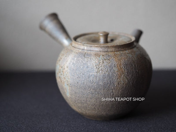 YOKEI MIZUNO YK47 Nanban Hidasuki Mogake Seaweed Tokoname Kyusu Teapot  水野陽景藻掛