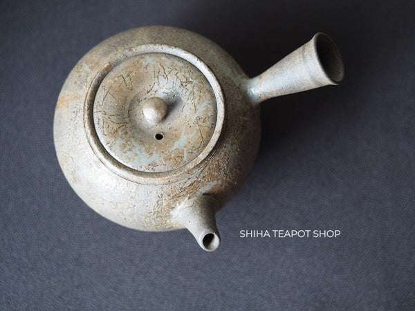 YOKEI MIZUNO YK47 Nanban Hidasuki Mogake Seaweed Tokoname Kyusu Teapot  水野陽景藻掛