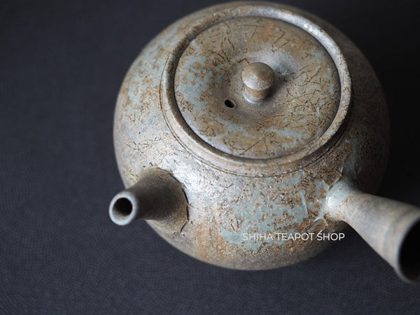 YOKEI MIZUNO YK47 Nanban Hidasuki Mogake Seaweed Tokoname Kyusu Teapot  水野陽景藻掛